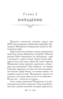 Происшествие в городе Т. — фото, картинка — 4