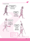 Биология в вопросах и ответах — фото, картинка — 22