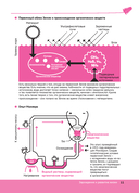 Биология в вопросах и ответах — фото, картинка — 8