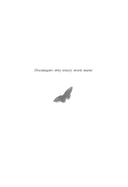 В долине бабочек — фото, картинка — 10