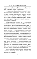 Тень немецких крыльев — фото, картинка — 11