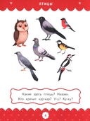 Полный курс развивающих заданий для самых маленьких: 2-3 года — фото, картинка — 4