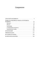 Капитанская дочка — фото, картинка — 26