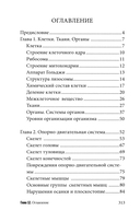 Анатомия для ищущих свой пупок — фото, картинка — 1