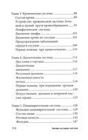 Анатомия для ищущих свой пупок — фото, картинка — 2