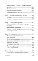 Анатомия для ищущих свой пупок — фото, картинка — 3