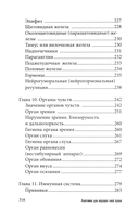 Анатомия для ищущих свой пупок — фото, картинка — 4