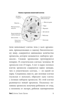 Анатомия для ищущих свой пупок — фото, картинка — 8