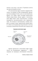 Анатомия для ищущих свой пупок — фото, картинка — 9