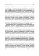 Копии за секунды — фото, картинка — 21