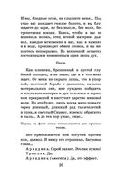 Чайка. Вишневый сад — фото, картинка — 19