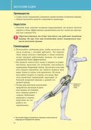 Анатомия силовых тренировок для женщин — фото, картинка — 10