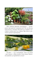 Урожай без грядок. Огород в контейнерах — фото, картинка — 15