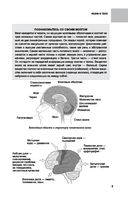 Мозг. От древних мифов к нейробиологии — фото, картинка — 9