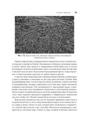 Пустыня или рай — фото, картинка — 19