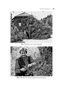 Пустыня или рай — фото, картинка — 23