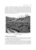 Пустыня или рай — фото, картинка — 27