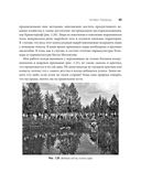 Пустыня или рай — фото, картинка — 29