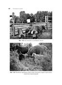 Пустыня или рай — фото, картинка — 32