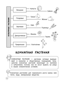 Окружающий мир. Теория, примеры, задания. 1-4 классы — фото, картинка — 11