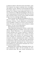 Завещание старого вора — фото, картинка — 19