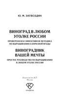 Виноград в любом уголке России — фото, картинка — 1