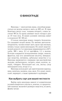 Виноград в любом уголке России — фото, картинка — 13