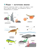 Подводный мир — фото, картинка — 9