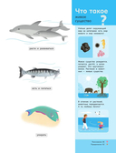 Подводный мир — фото, картинка — 10