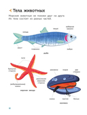 Подводный мир — фото, картинка — 11