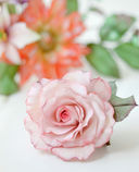 Сахарные цветы. Пошаговый гид по созданию цветов из сахарной мастики для декора тортов — фото, картинка — 2