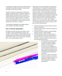 Якобинская вышивка Хейзел Бломкамп. Животные Африки — фото, картинка — 11