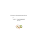 Аня из зеленых мезонинов — фото, картинка — 2