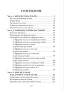 Эфирные тайны растений — фото, картинка — 1