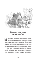 Котовасия. Приключения кота по имени Тигр — фото, картинка — 14