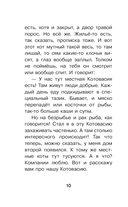 Котовасия. Приключения кота по имени Тигр — фото, картинка — 11