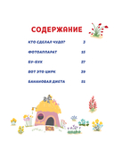 Зебра в клеточку. Самые добрые истории тропиков — фото, картинка — 1