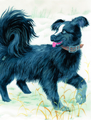 Усы, перья и хвосты. Рассказы русских писателей о животных — фото, картинка — 6