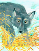 Усы, перья и хвосты. Рассказы русских писателей о животных — фото, картинка — 10