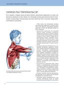 Анатомия лечебной растяжки: быстрое избавление от боли и профилактика травм — фото, картинка — 19