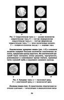 Анатомия и физиология человека с основами общей патологии — фото, картинка — 24