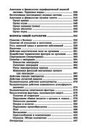 Анатомия и физиология человека с основами общей патологии — фото, картинка — 30
