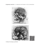Живая остеопатия. Системный подход к лечению явных и скрытых заболеваний — фото, картинка — 14