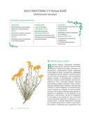 Гримуар травницы. Иллюстрированный справочник по сбору, заготовкам и полезным свойствам дикорастущих растений — фото, картинка — 15
