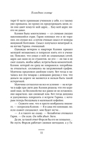 Холодное солнце — фото, картинка — 10