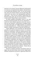 Холодное солнце — фото, картинка — 14