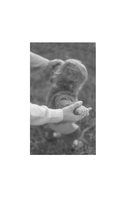 Гнездование — фото, картинка — 1