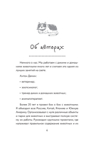 Котомания — фото, картинка — 8