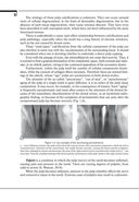 Терапевтическая стоматология. Клиническая эндодонтия — фото, картинка — 8