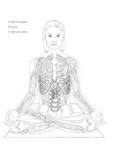 Анатомия йоги. Атлас-раскраска — фото, картинка — 2